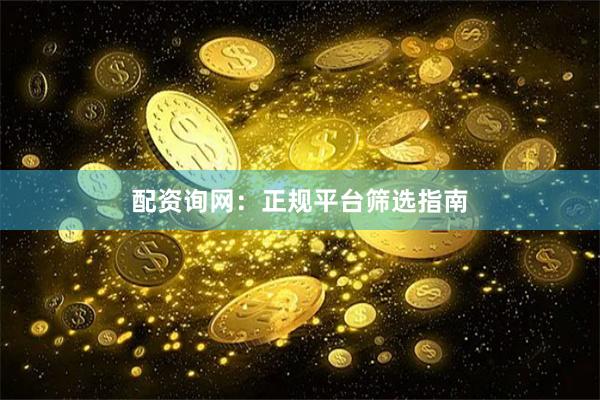 配资询网：正规平台筛选指南